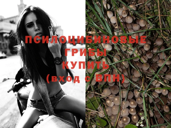 молекула духа Алексин
