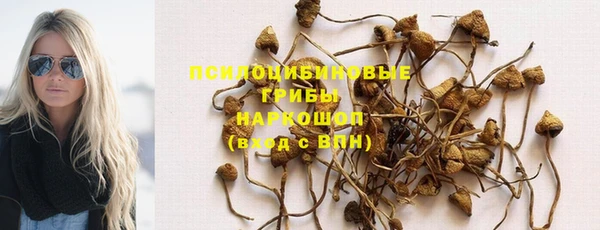 не бодяженный Абаза