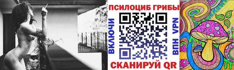 Псилоцибиновые грибы мицелий Димитровград