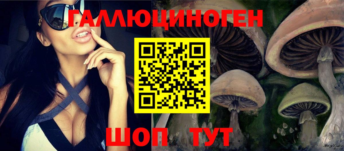 Димитровград  Галлюциногенные грибы прущие грибы  Галлюциногенные грибы прущие грибы  Вход с VPN 