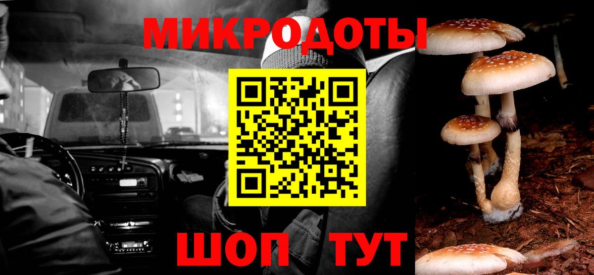 Галлюциногенные грибы Psilocybine cubensis Димитровград