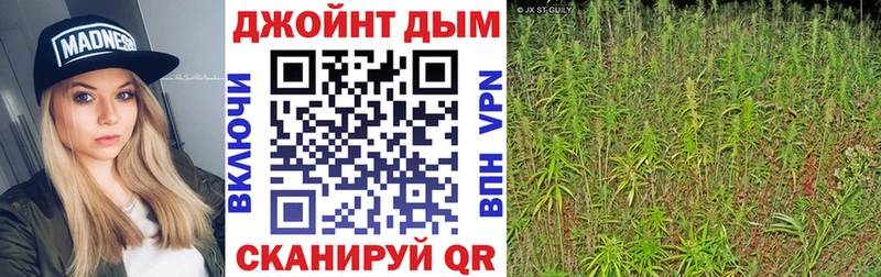 shop наркотические препараты Димитровград МАРИХУАНА Amnesia купить